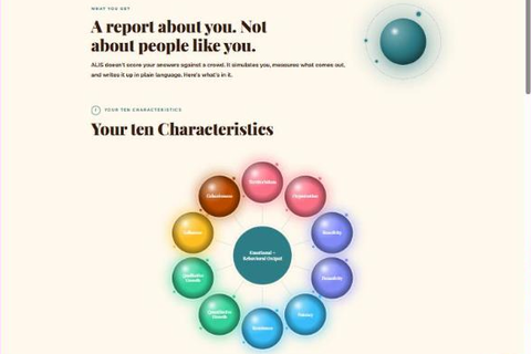 A Report About You